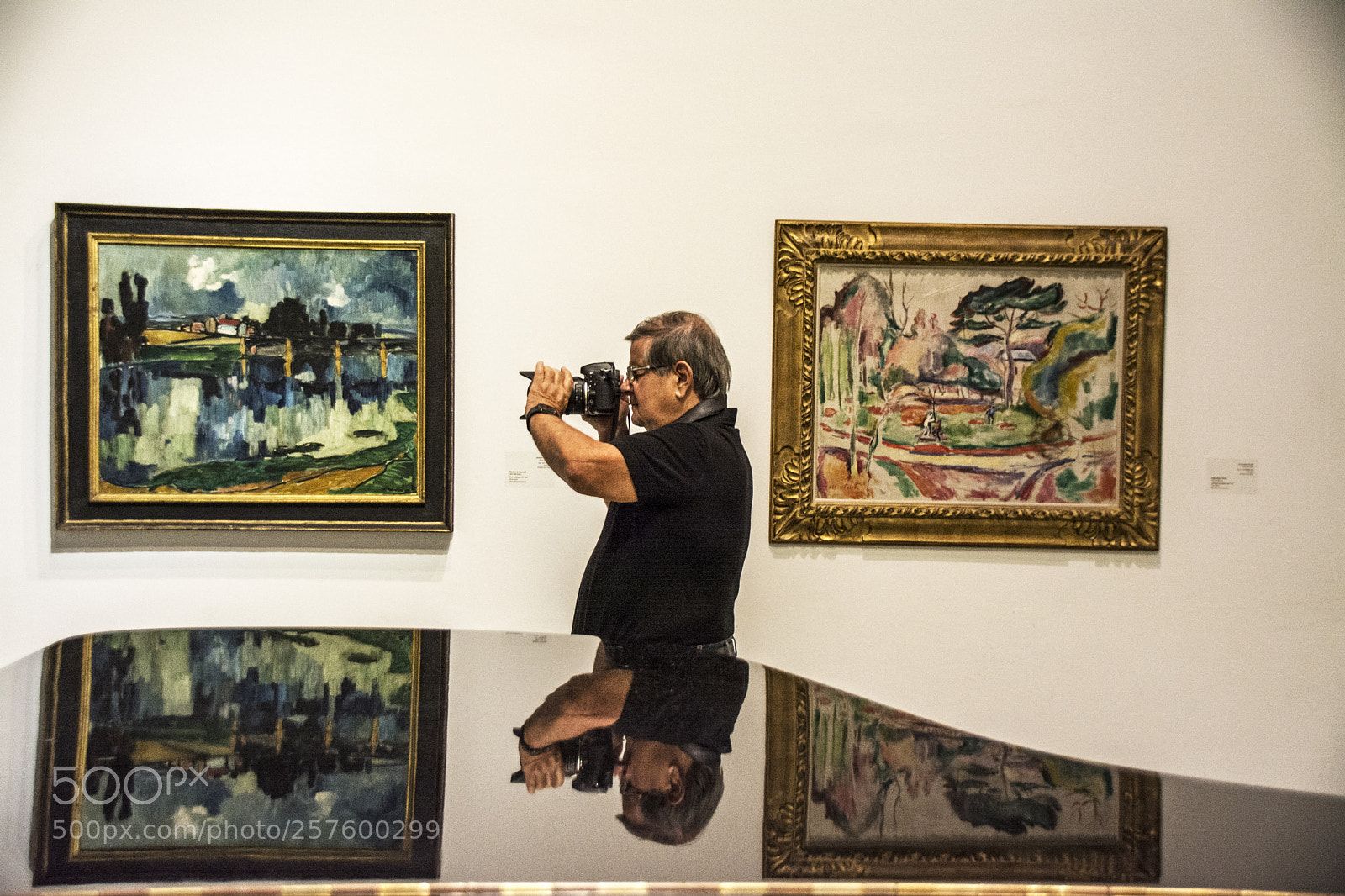 Nikon D7100 sample photo. Reflection in museum. photography