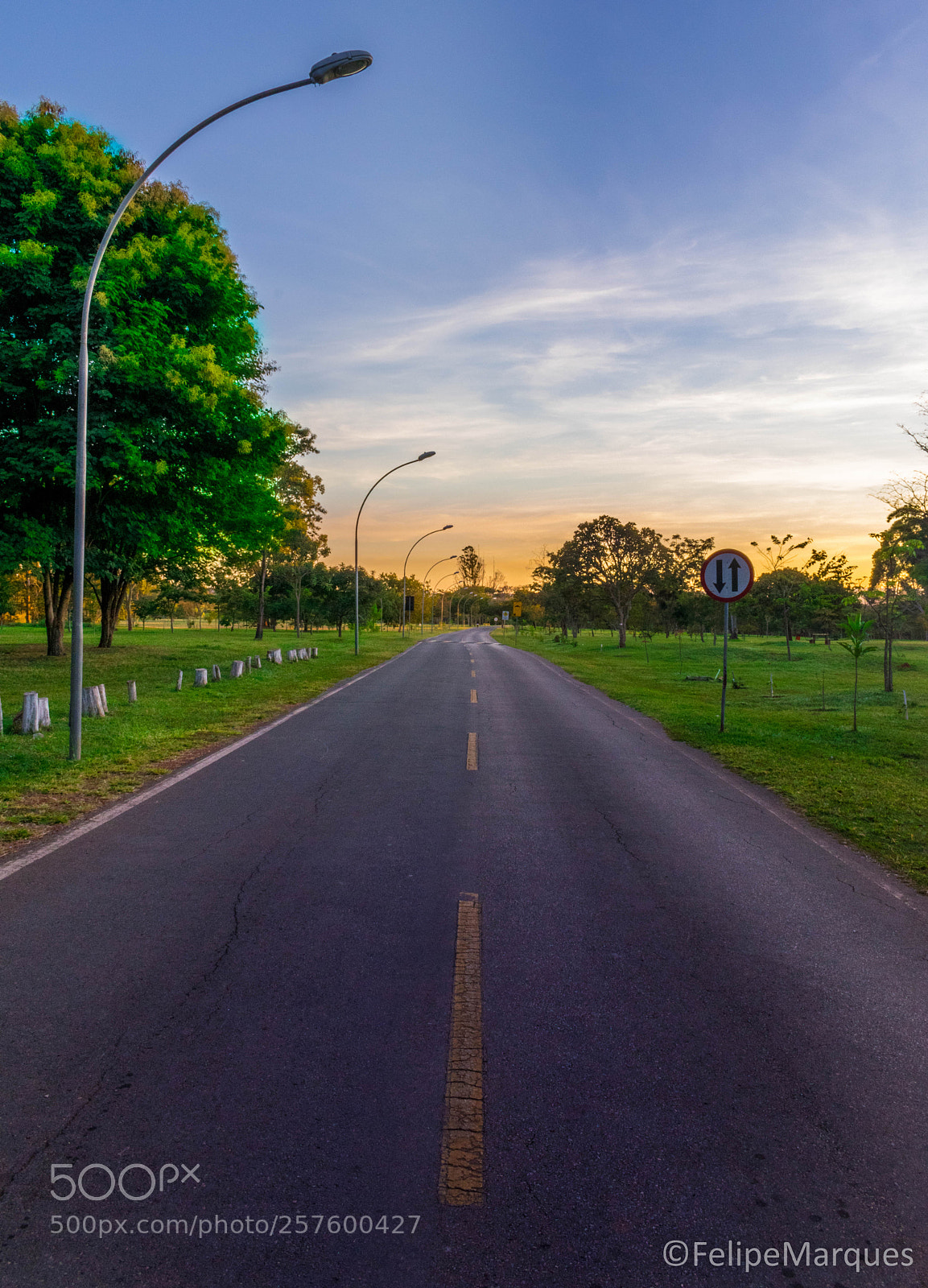 Nikon D5300 sample photo. O caminho photography