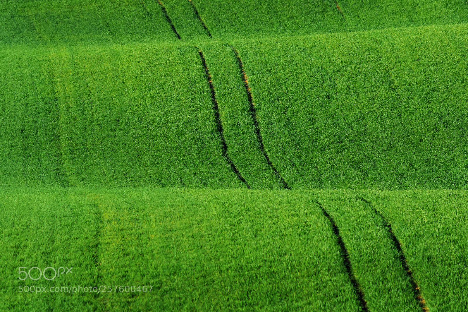 Nikon D7200 sample photo. Green waves photography