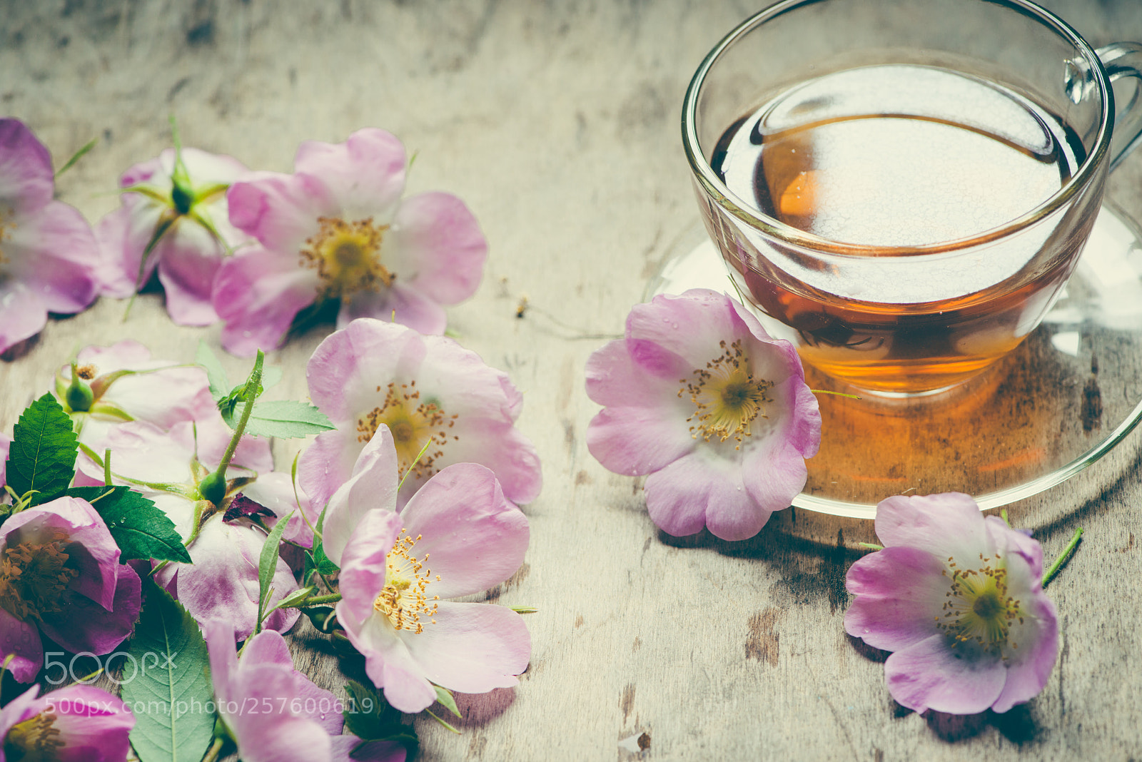 Nikon D800E sample photo. Rose tea photography