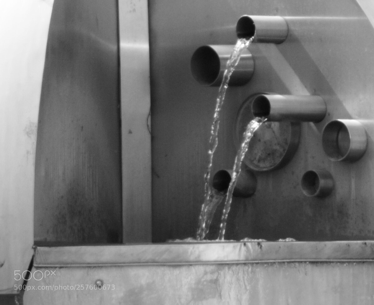Nikon D3000 sample photo. Untitled photography