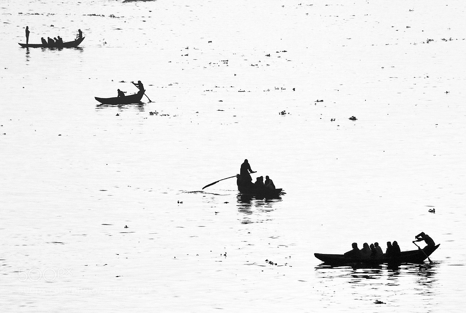 Canon EOS 70D sample photo. Rowing in the river photography