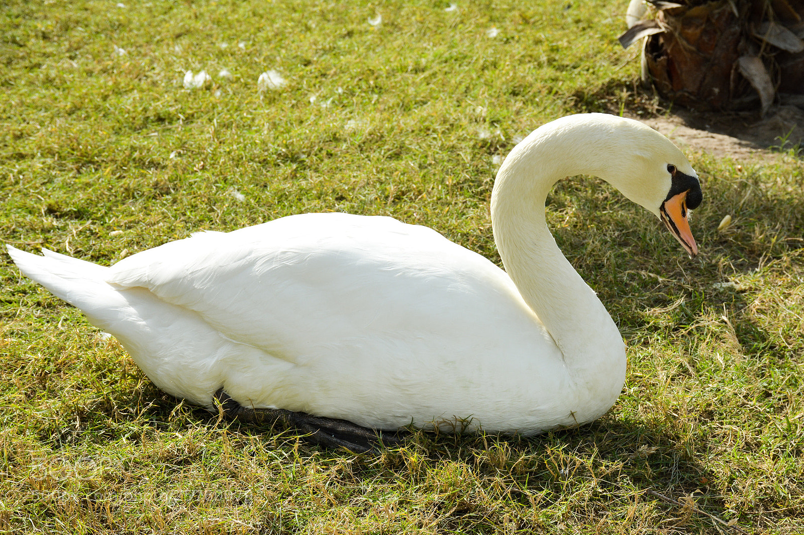 Nikon D7100 sample photo. Untitled photography