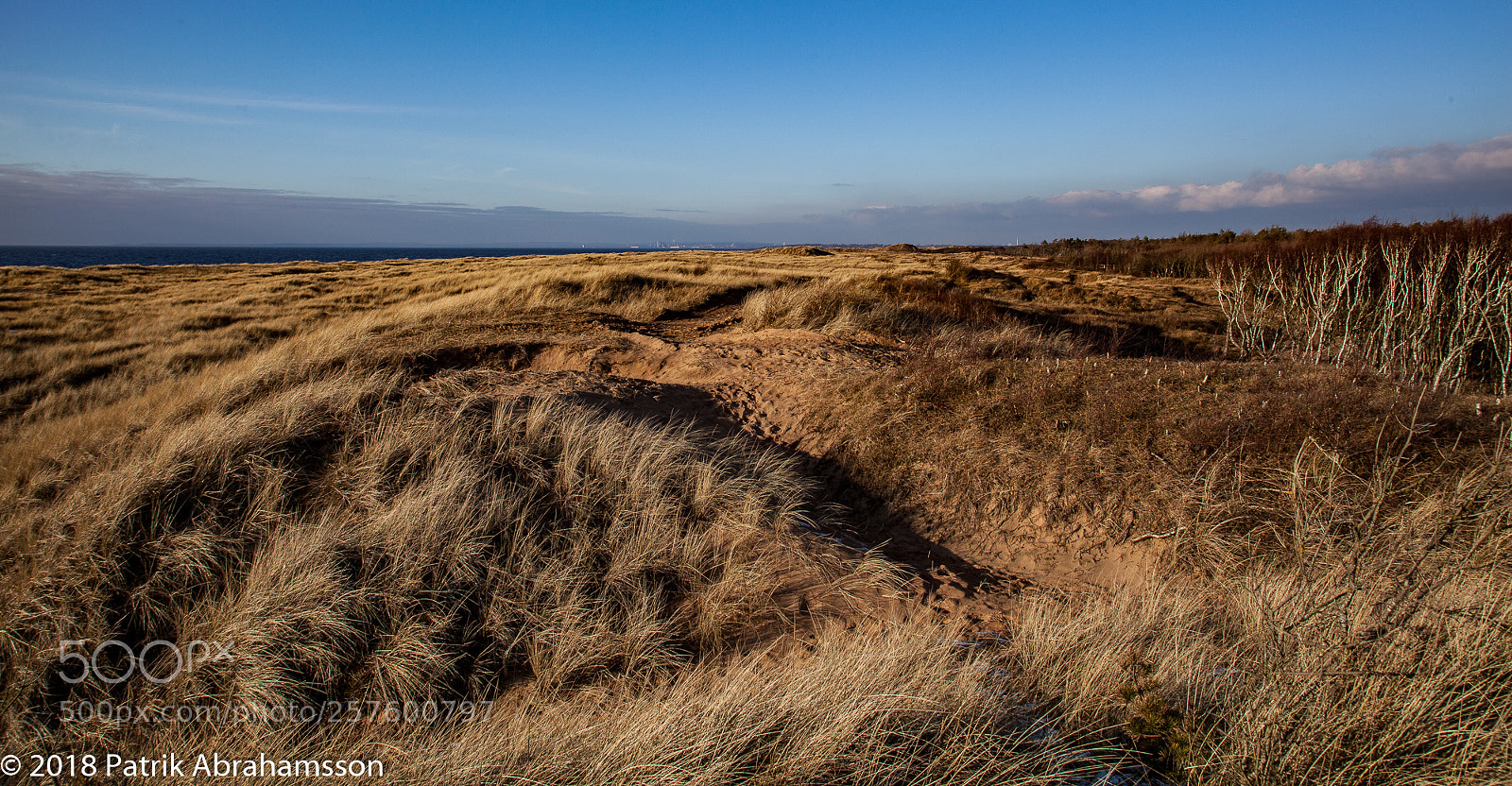 Canon EOS 5D Mark II sample photo. Winter beach photography