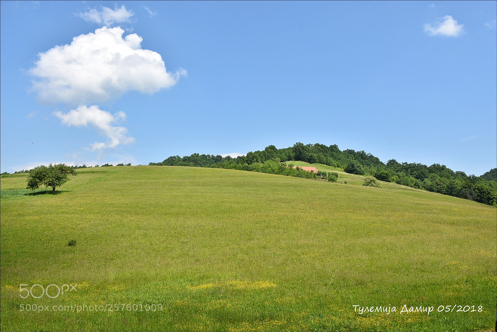 Nikon D7200 sample photo. Obronci planine motajica photography