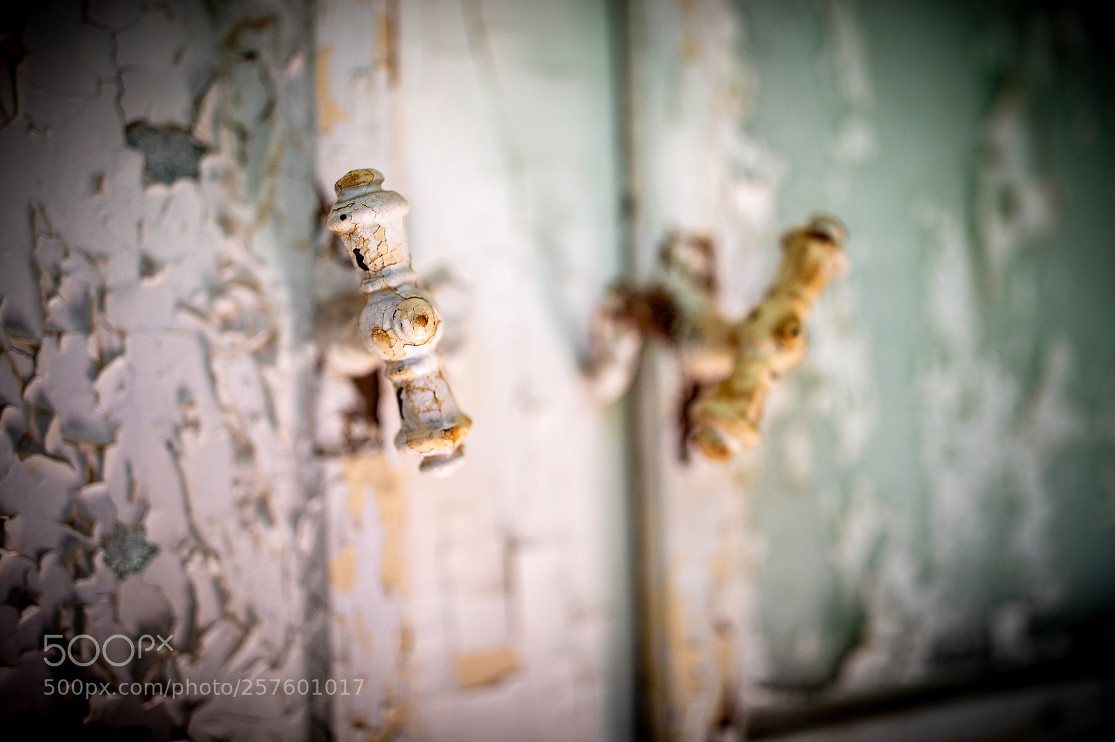 Canon EOS-1D X Mark II sample photo. Lost place photography