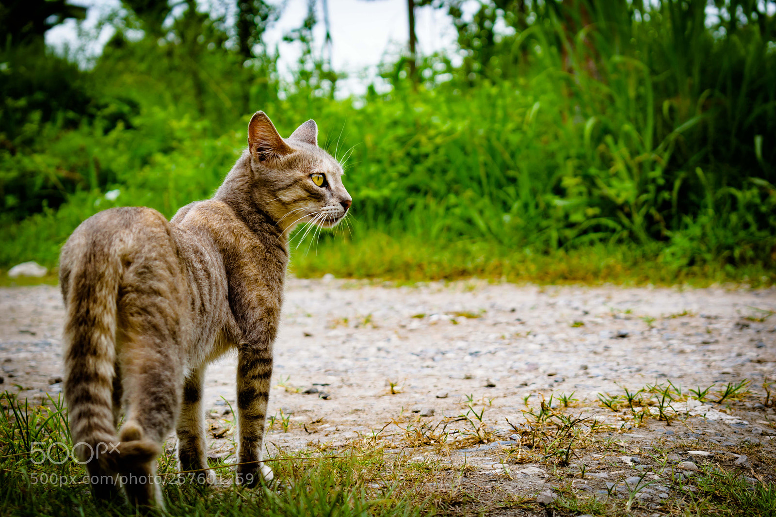 Nikon D3300 sample photo. Looking for....? photography