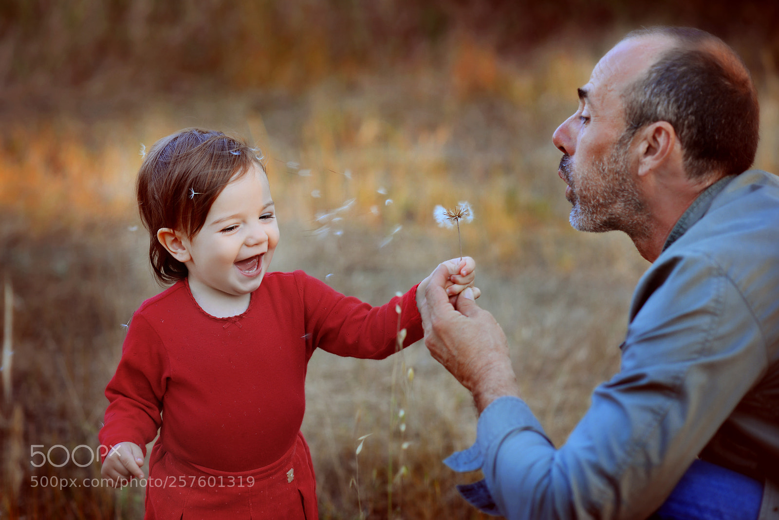Nikon D600 sample photo. Father and dandelion)) photography