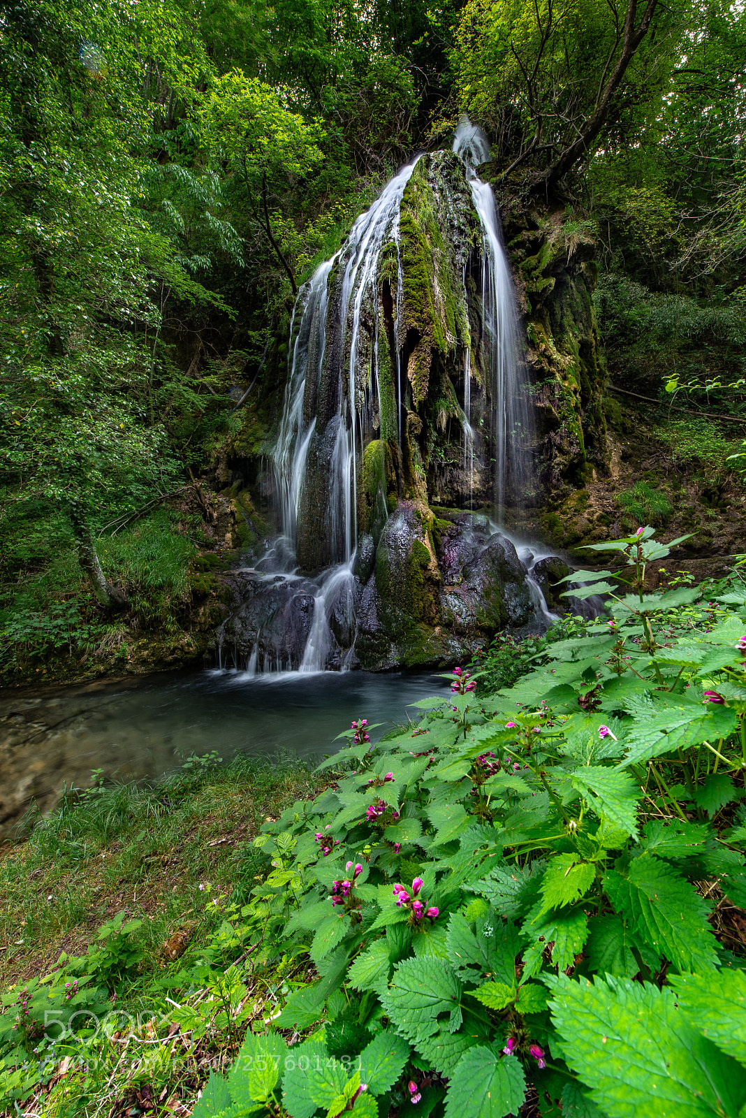 Nikon D750 sample photo. Cascate roggia di calavino photography