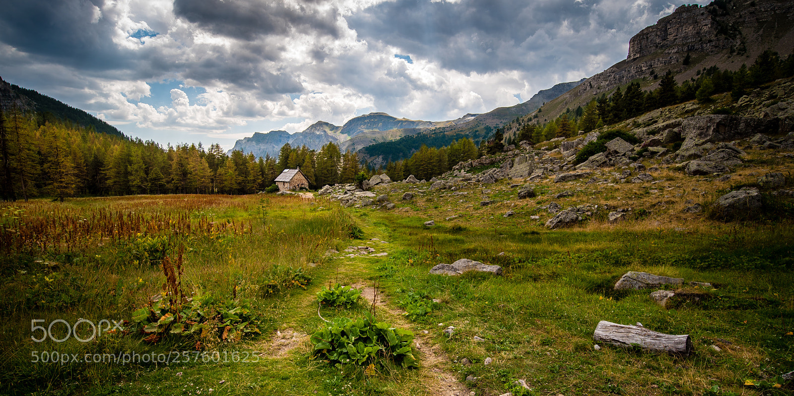 Nikon D750 sample photo. Piece of paradise photography