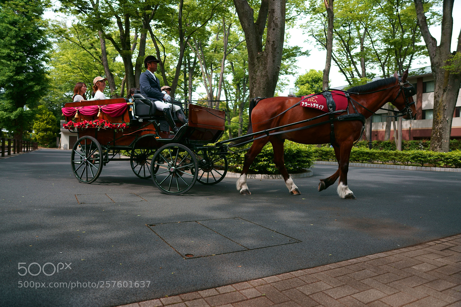 Sony a9 sample photo. Carriage photography