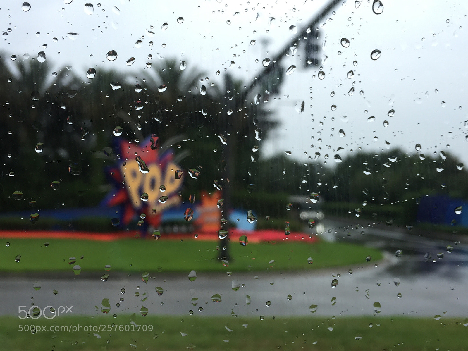 Apple iPhone 6 sample photo. Rain drops  photography