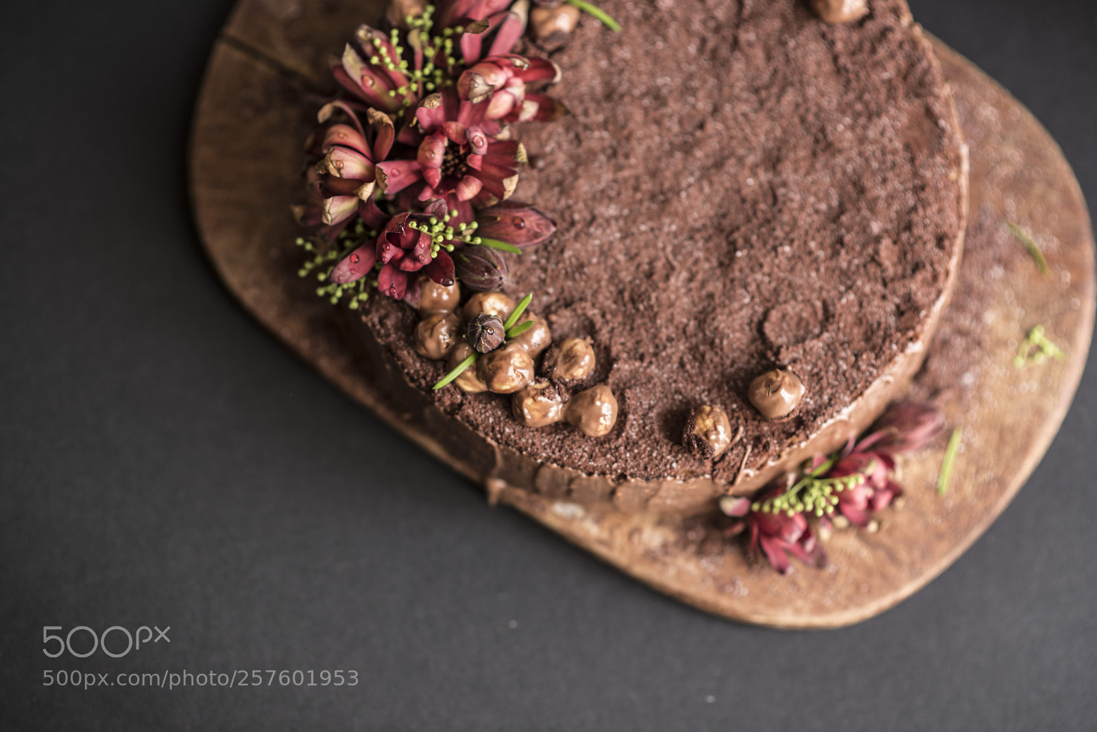 Nikon D750 sample photo. Chocolate hazelnut cake photography