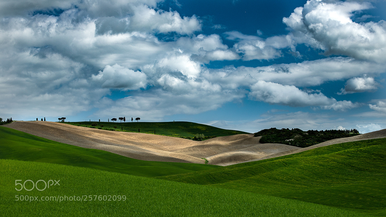 Canon EOS 6D Mark II sample photo. Colline toscane photography