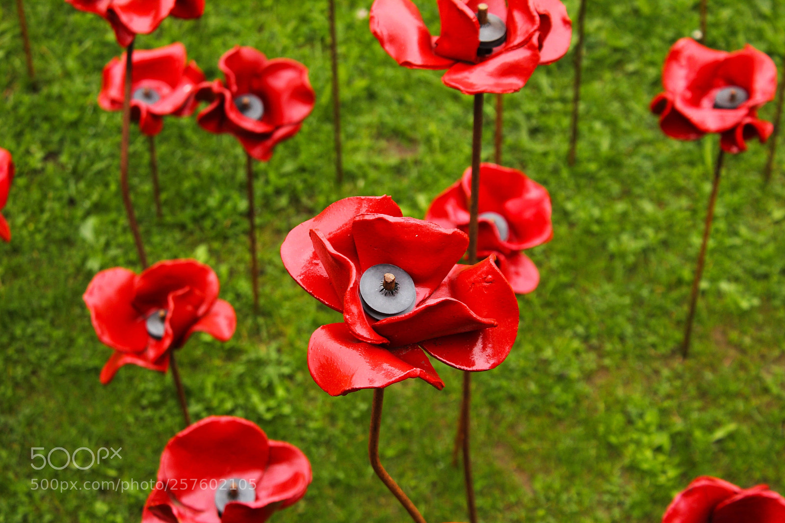 Canon EOS 1200D (EOS Rebel T5 / EOS Kiss X70 / EOS Hi) sample photo. Fort nelson poppy wave photography