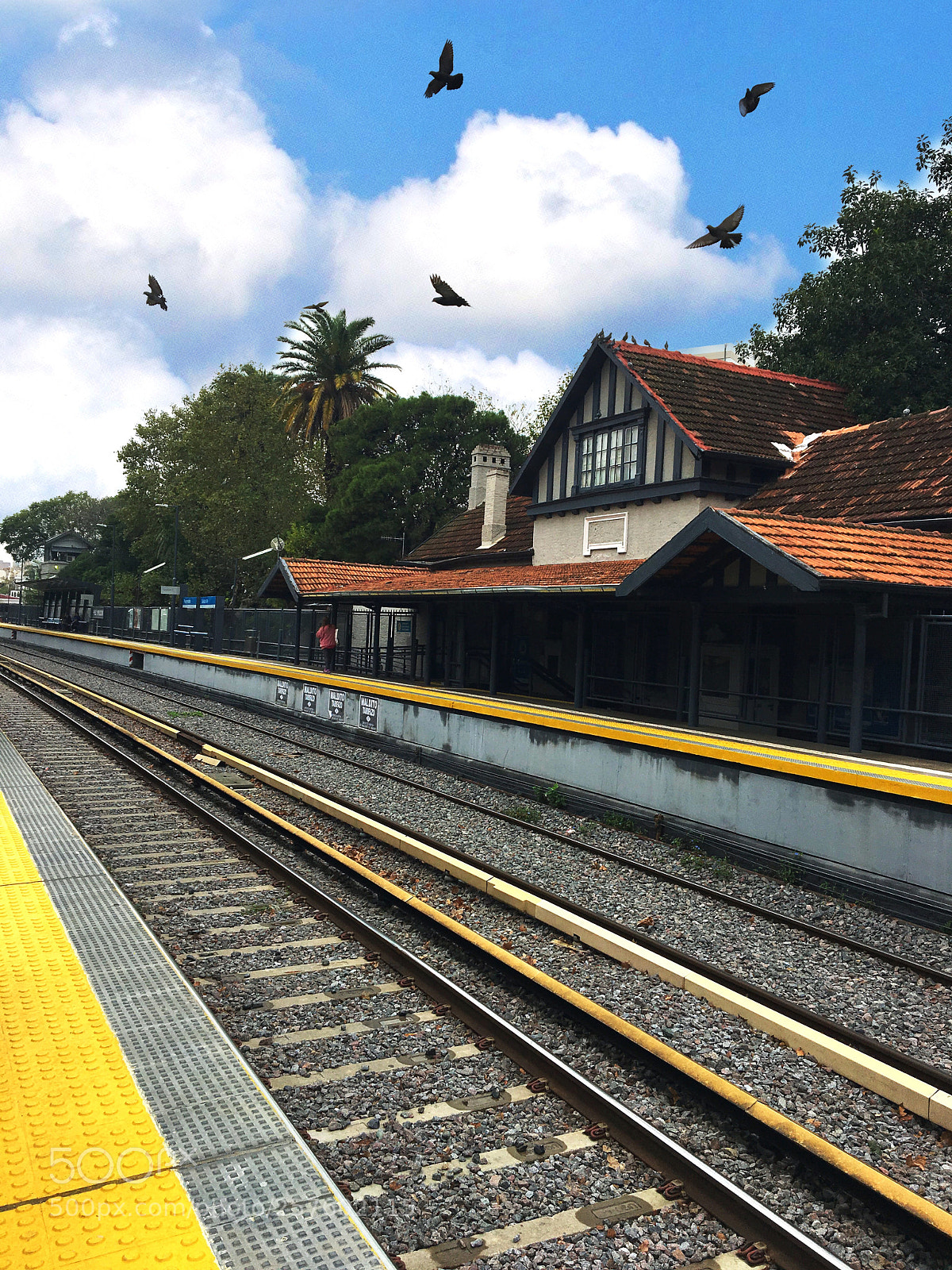 Apple iPhone 6s sample photo. Train argentina tren mitre photography