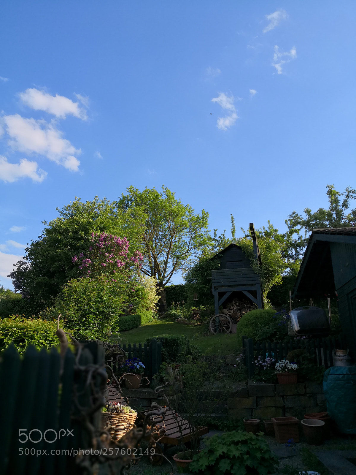HUAWEI Mate 10 Pro sample photo. In the garden photography