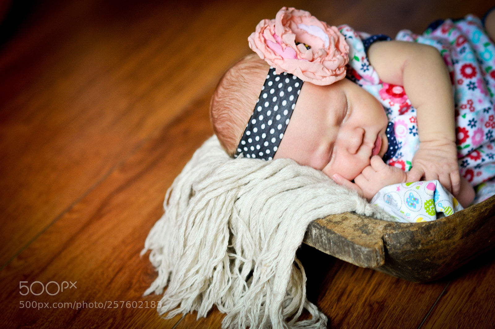 Nikon D300S sample photo. Untitled photography