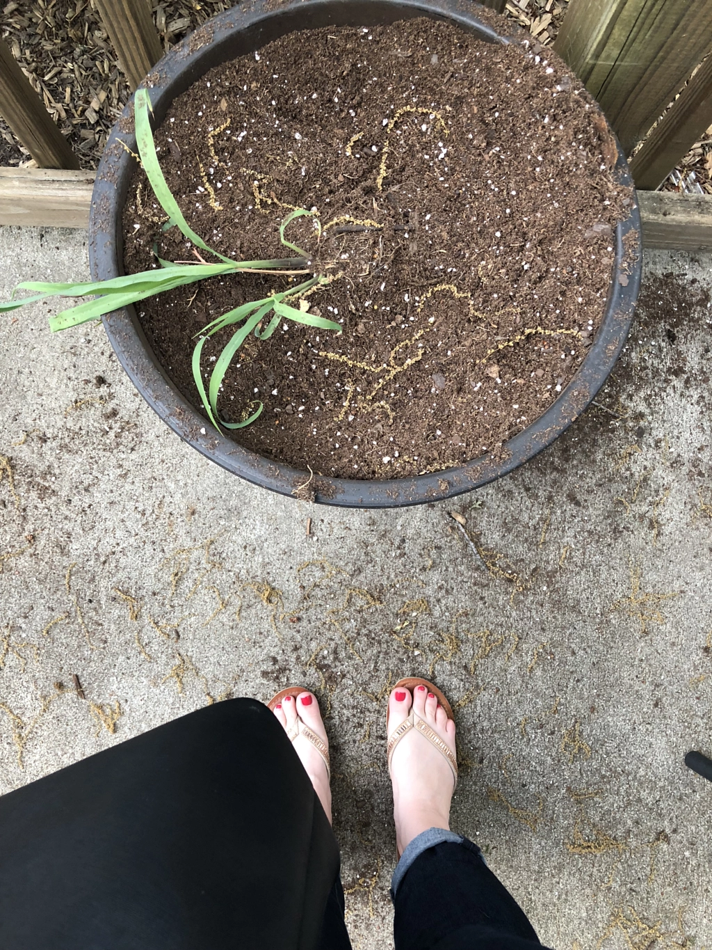 Untitled by Jacqueline and Kevin Reape on 500px.com