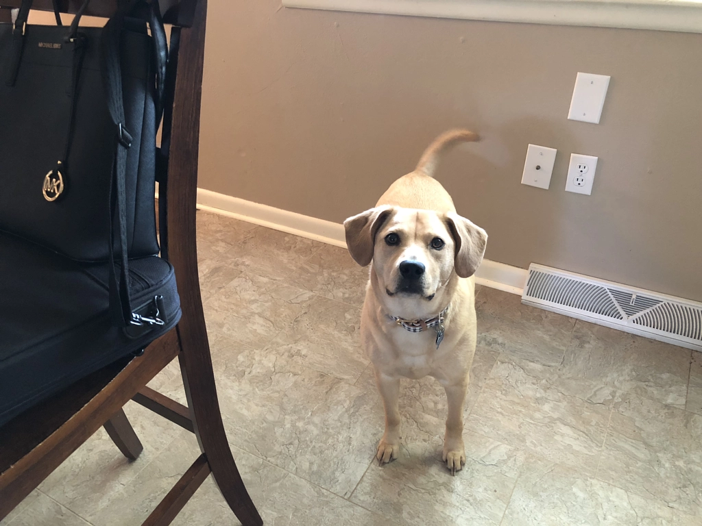 Untitled by Jacqueline and Kevin Reape on 500px.com