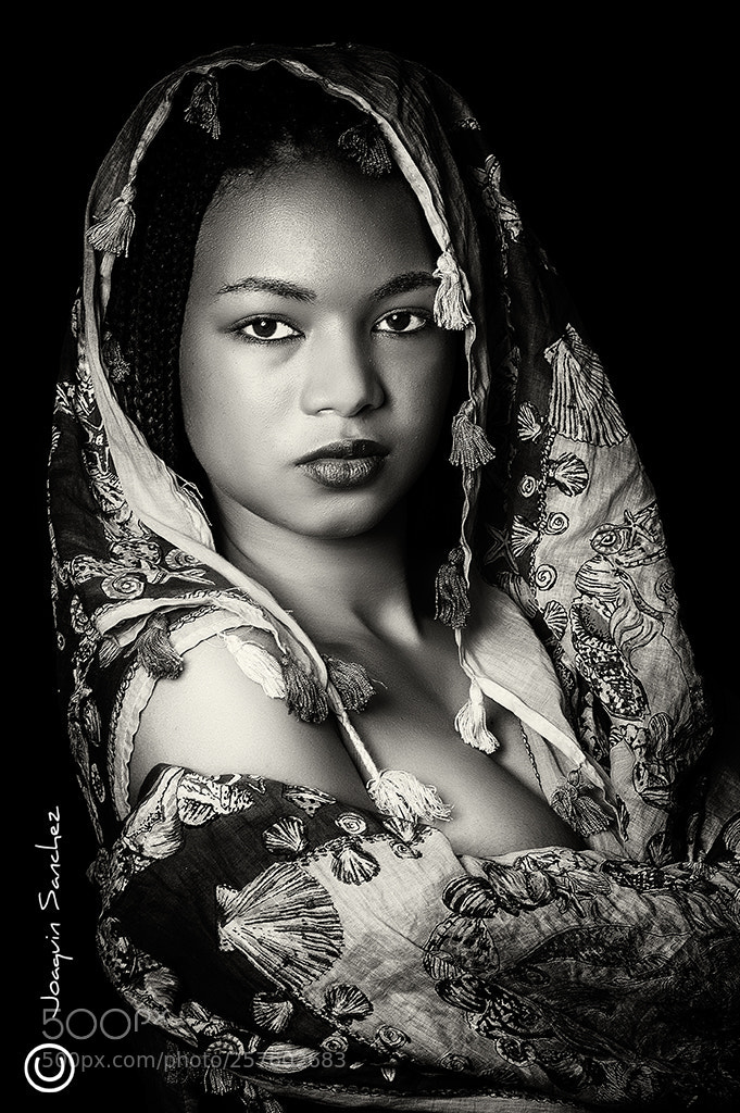 Nikon D700 sample photo. Indiana photography
