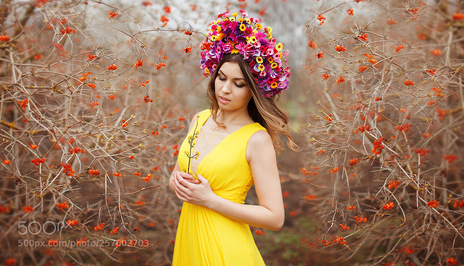 Canon EOS 5D Mark II sample photo. 3.jpg photography