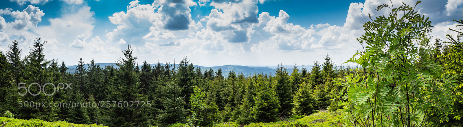 Sony SLT-A68 sample photo. Panorama thüringer wald photography