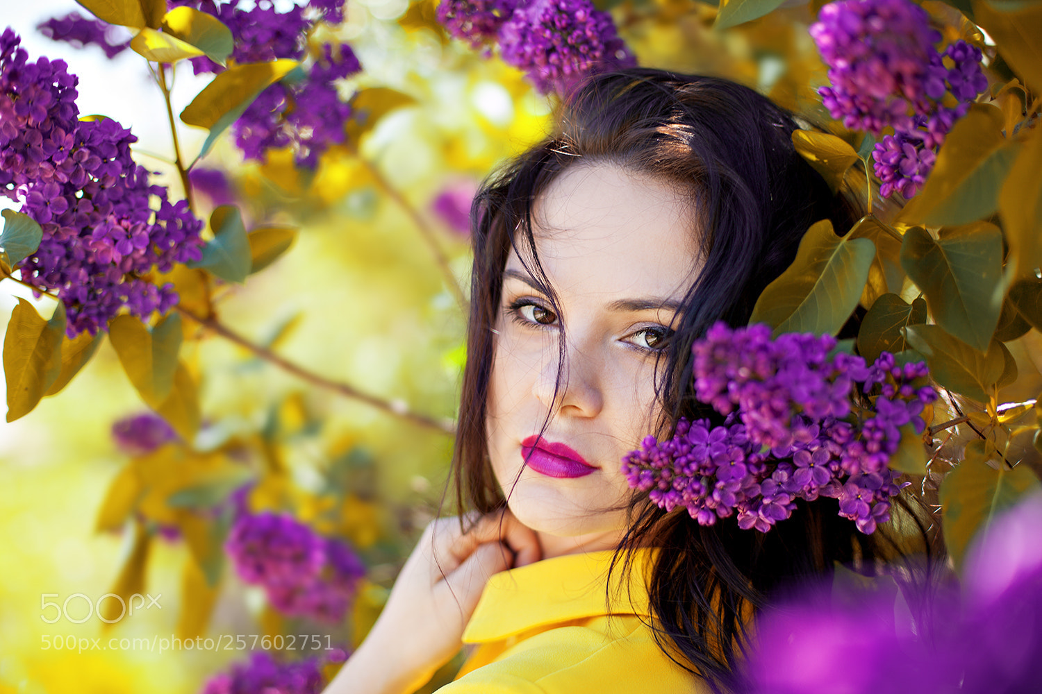 Canon EOS 5D Mark II sample photo. Img photography