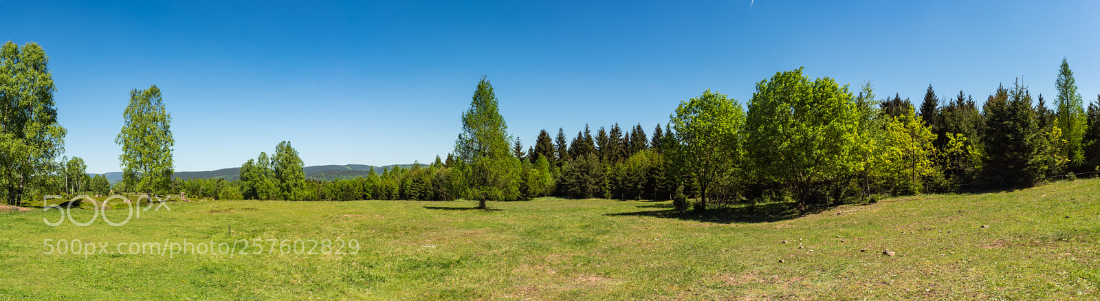 Sony SLT-A68 sample photo. Panorama thüringer wald photography