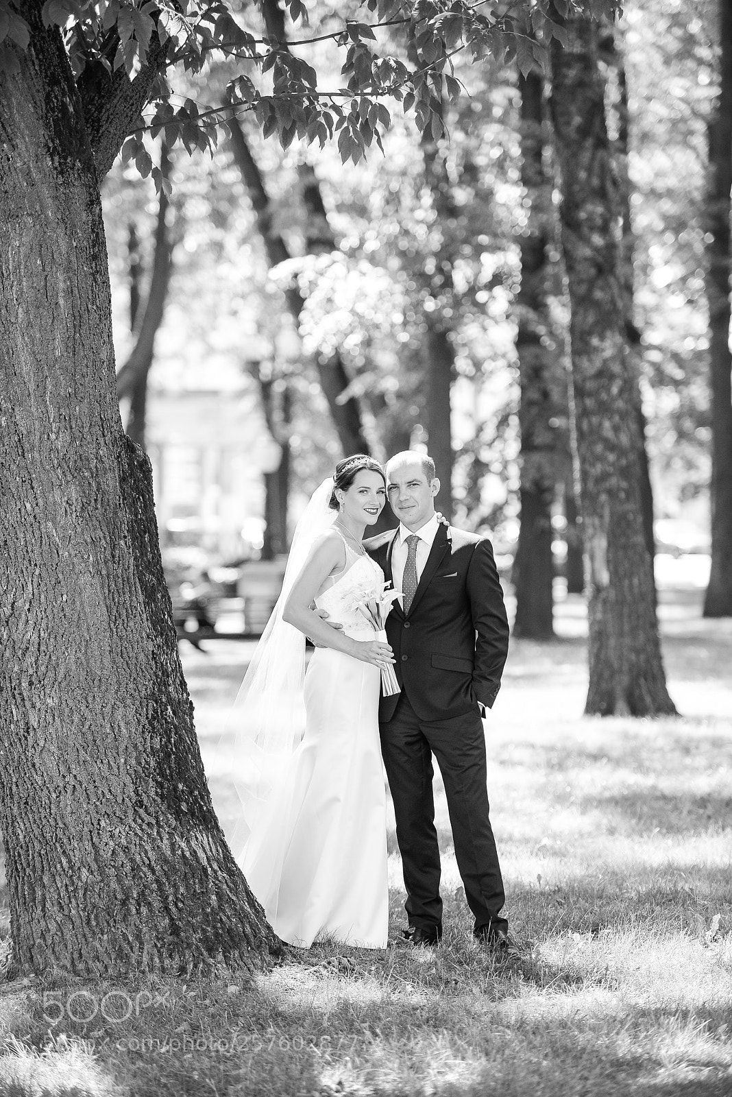 Nikon D800E sample photo. Untitled photography