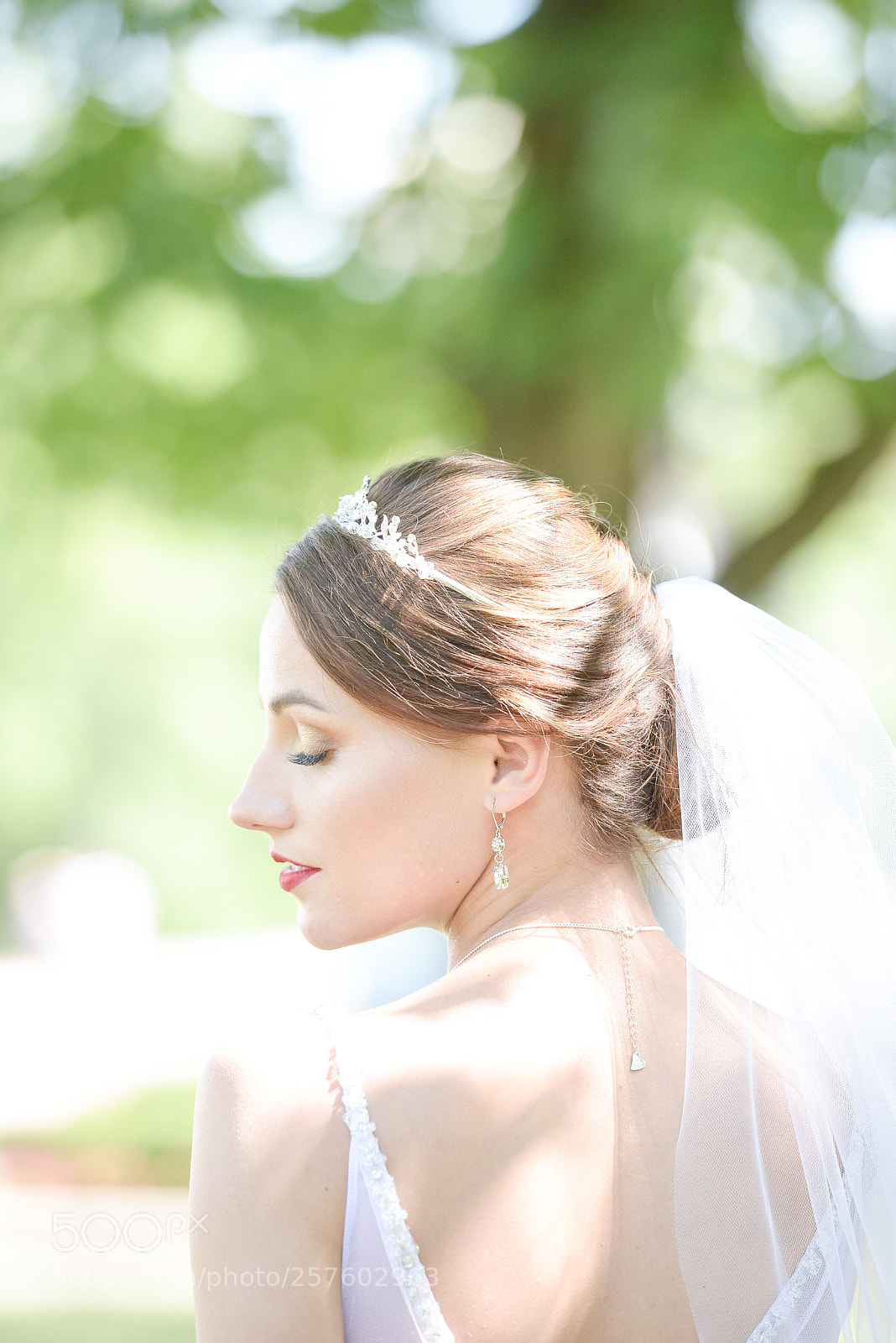 Nikon D800E sample photo. Untitled photography