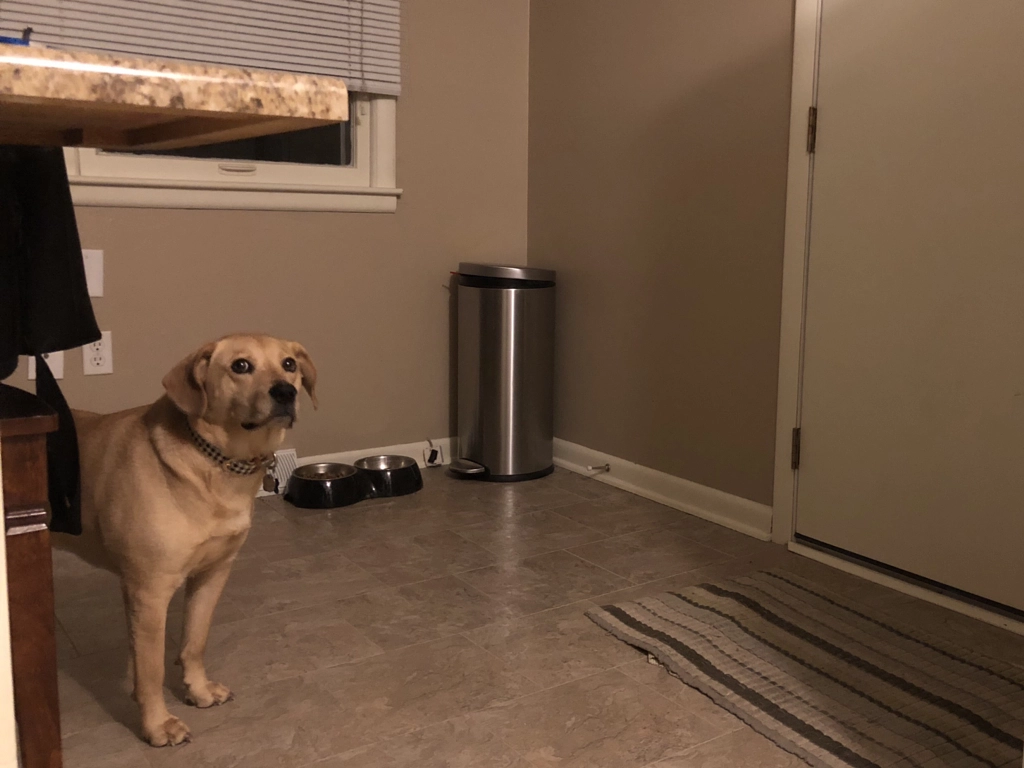 Untitled by Jacqueline and Kevin Reape on 500px.com