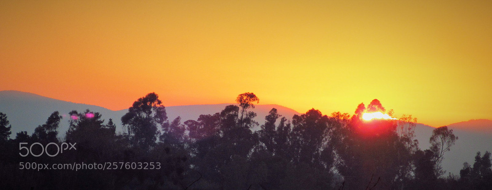Canon PowerShot SX620 HS sample photo. Atardecer photography