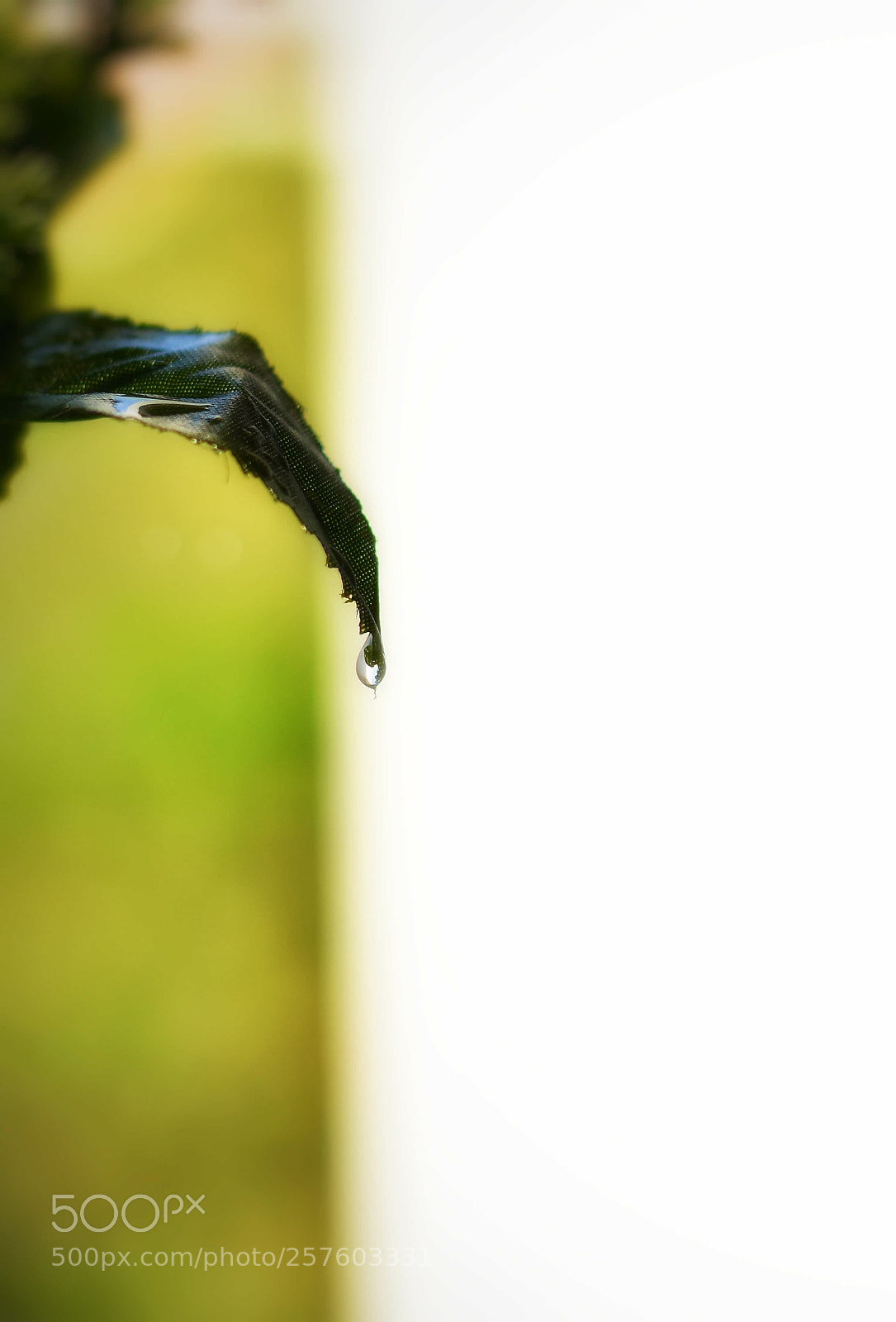 Nikon D3400 sample photo. Untitled photography