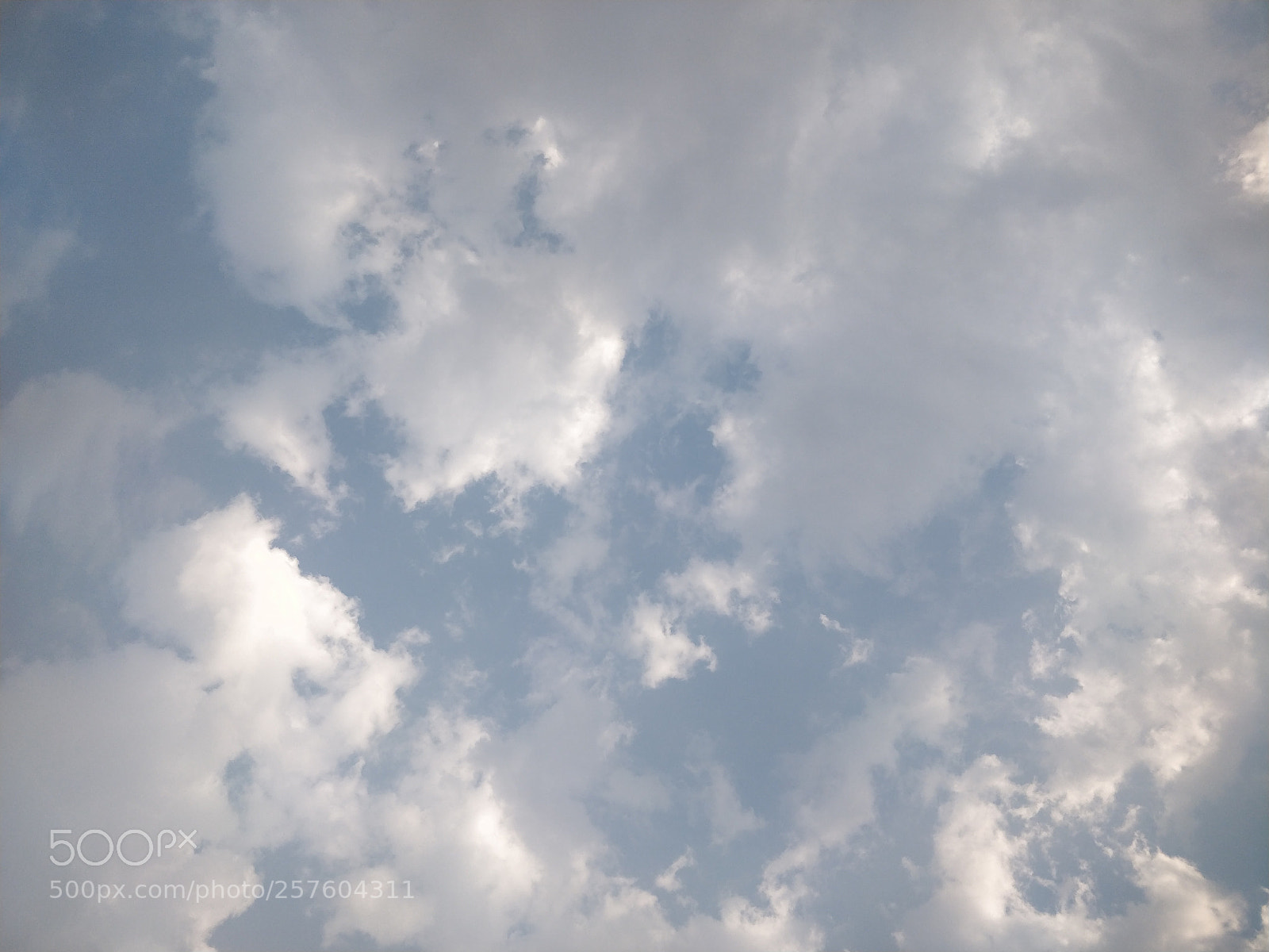 OnePlus 5T sample photo. Img_20180318_173611.jpg photography