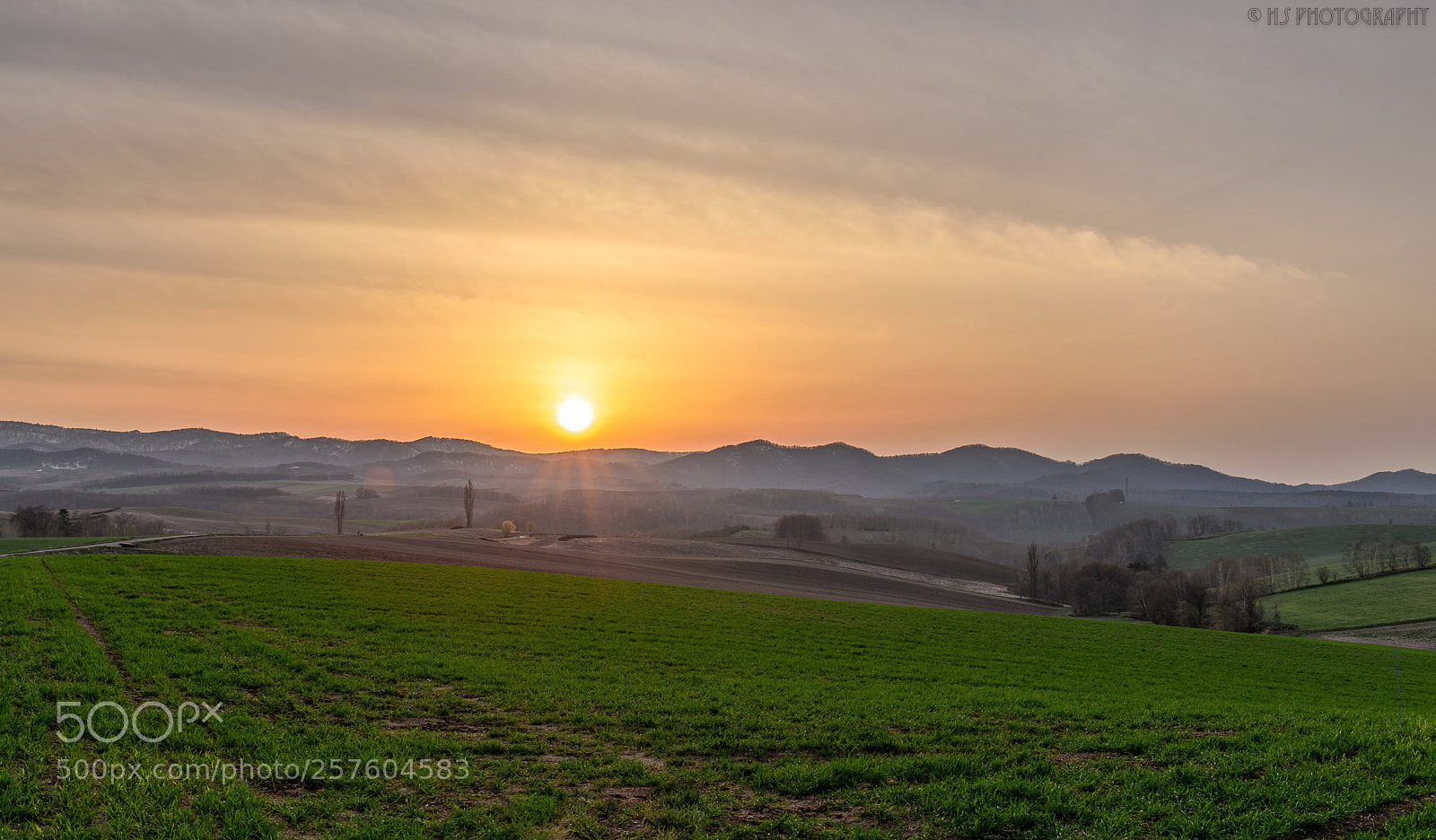 Nikon D810 sample photo. Sunset photography