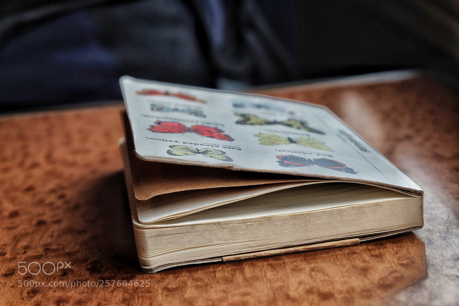 Fujifilm X-T10 sample photo. Untitled photography