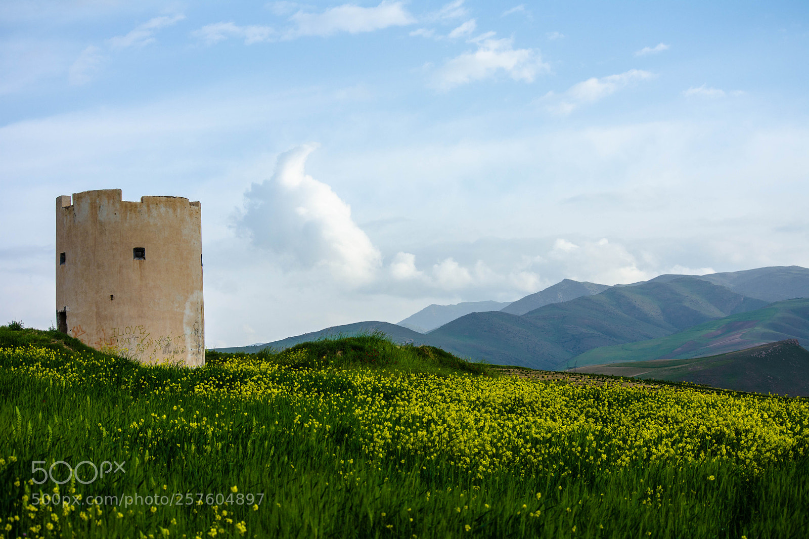 Nikon D7200 sample photo. Abandoned watchtower photography