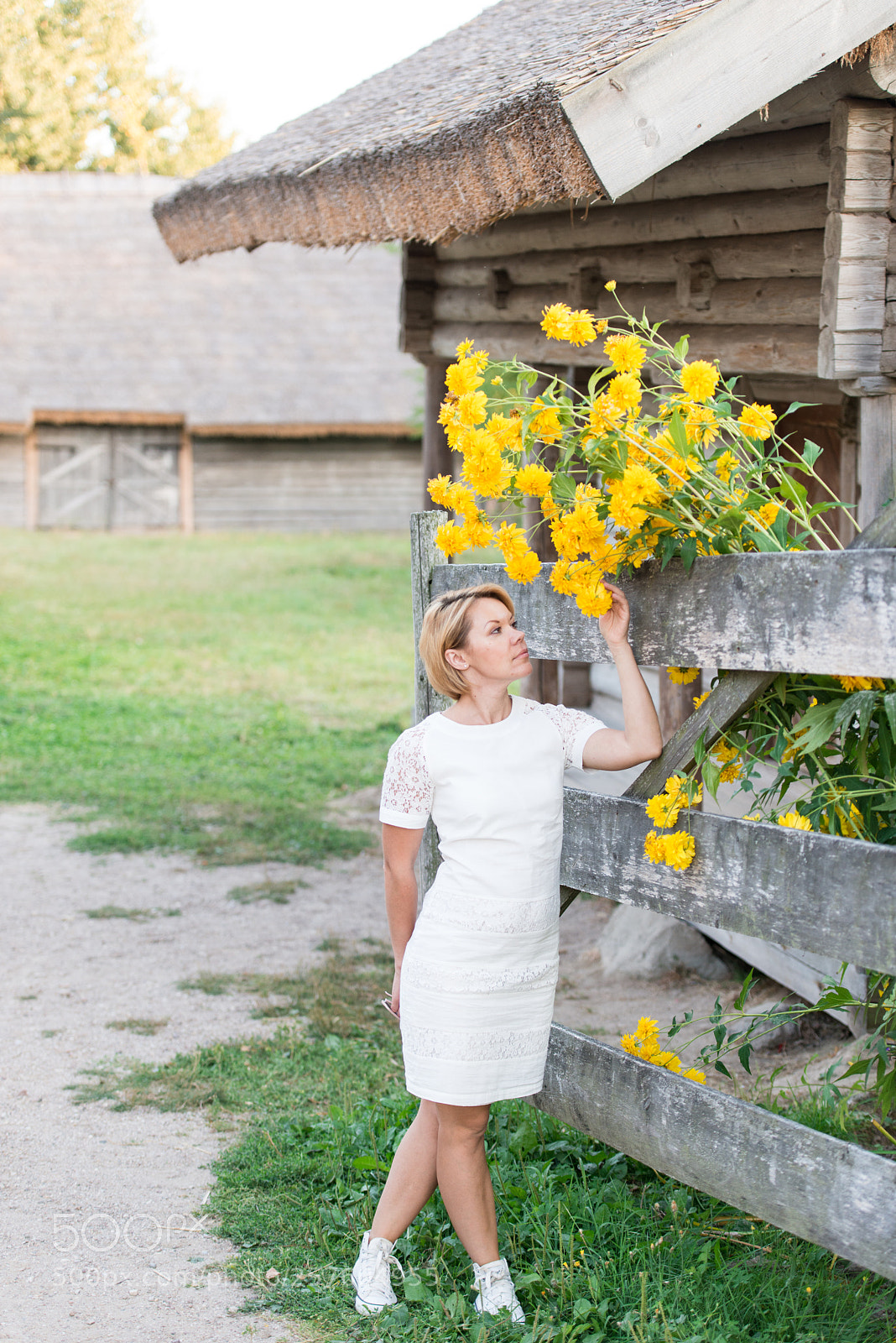 Nikon D800E sample photo. Untitled photography