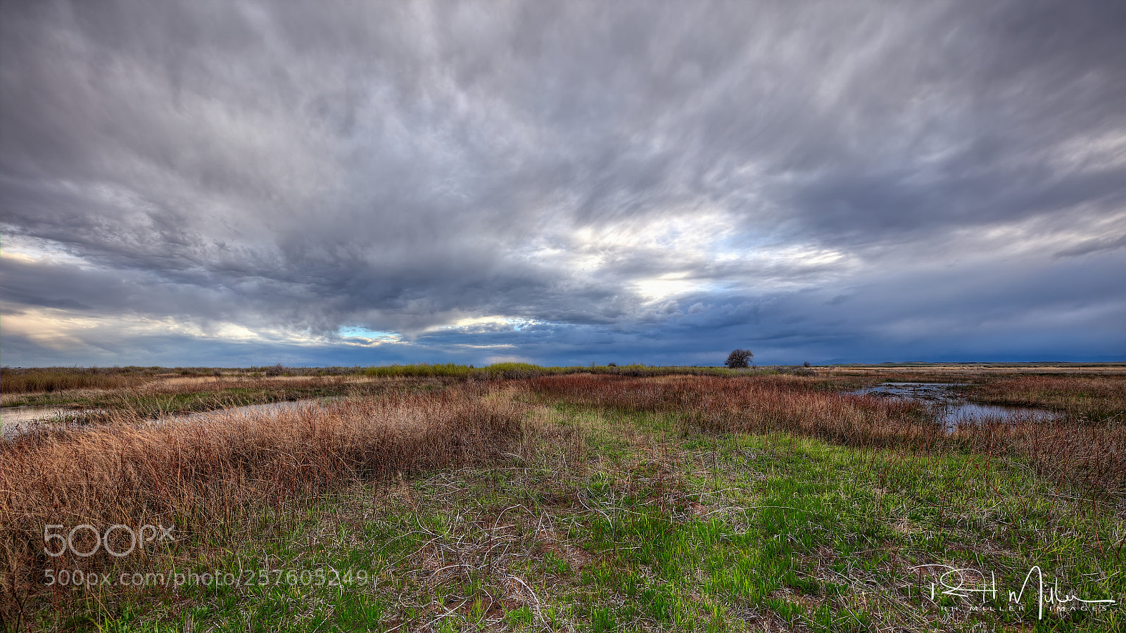 Canon EOS 5DS R sample photo. The green season photography