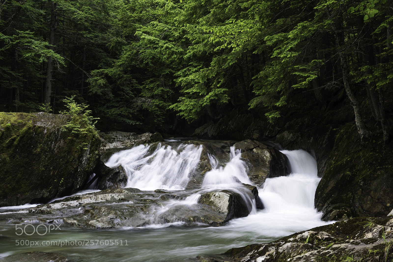 Nikon D810 sample photo. Lincoln brook waterfall, warren photography