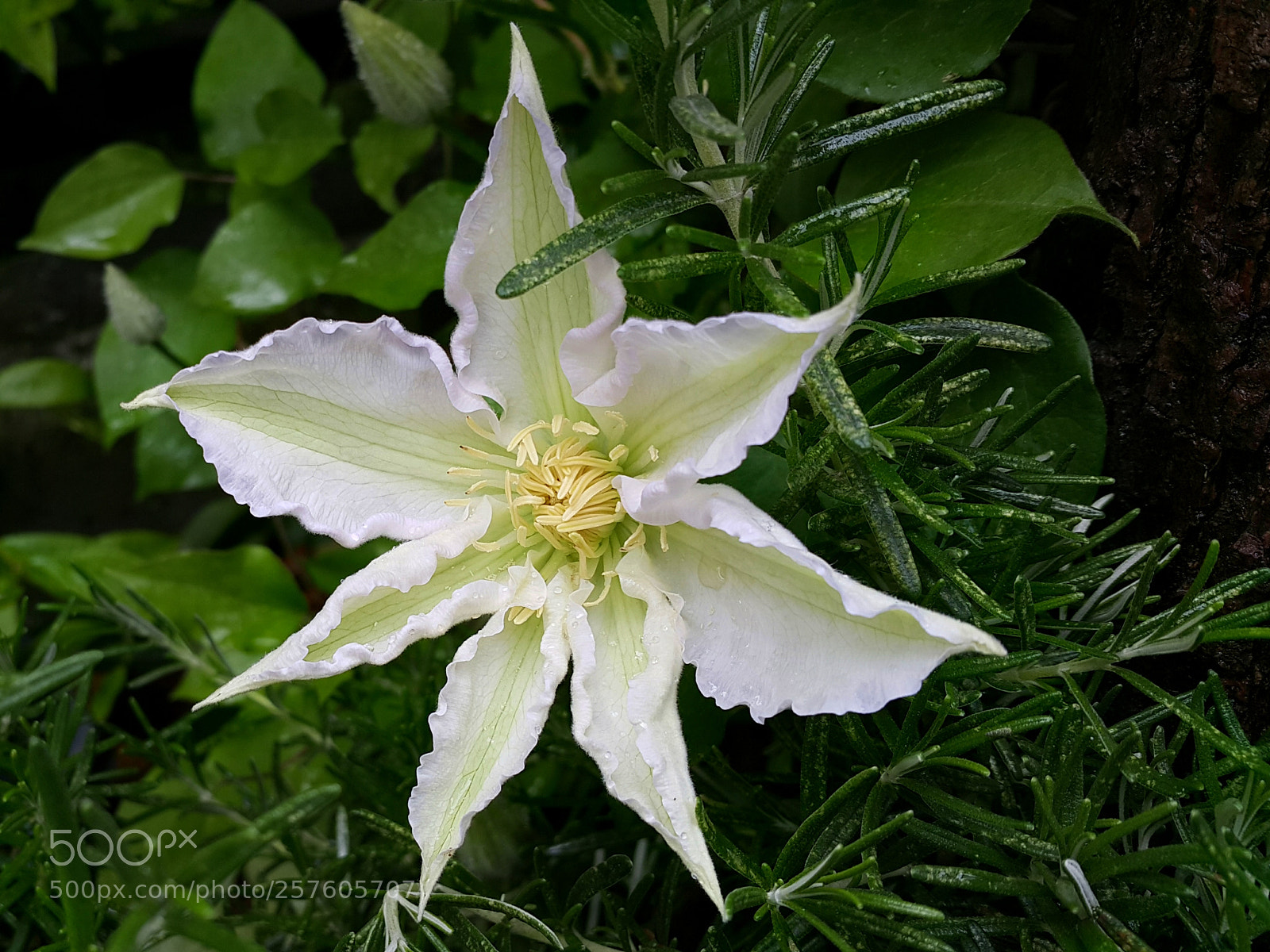 Samsung Galaxy Note4 sample photo. 308 photography