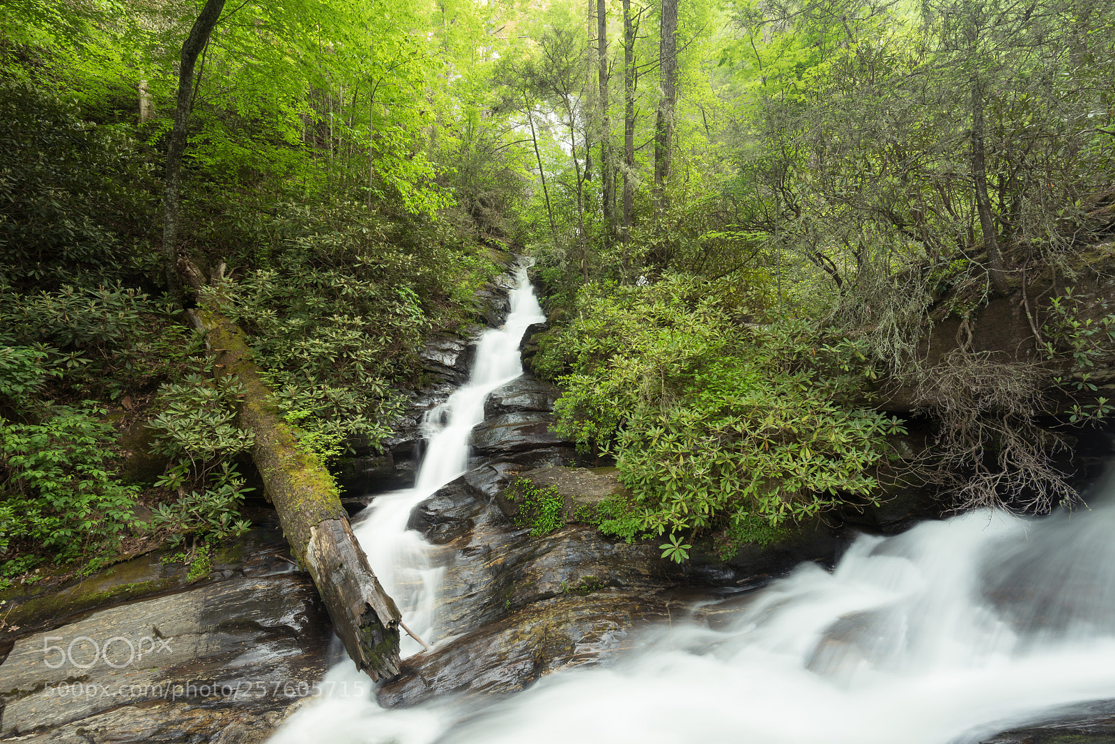 Nikon D810 sample photo. Dukes creek waterfall photography