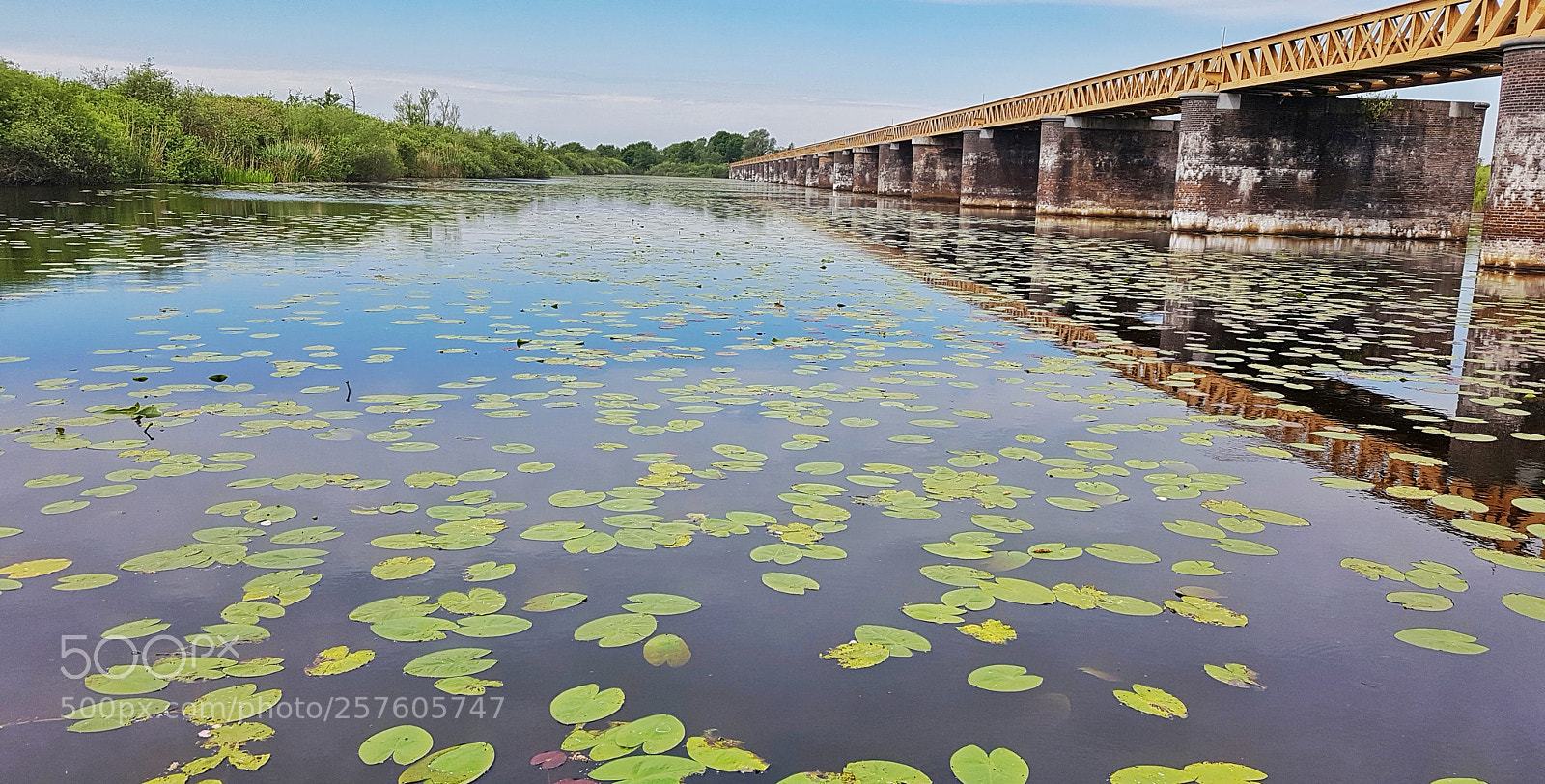 Samsung Galaxy S7 sample photo. Bridge photography