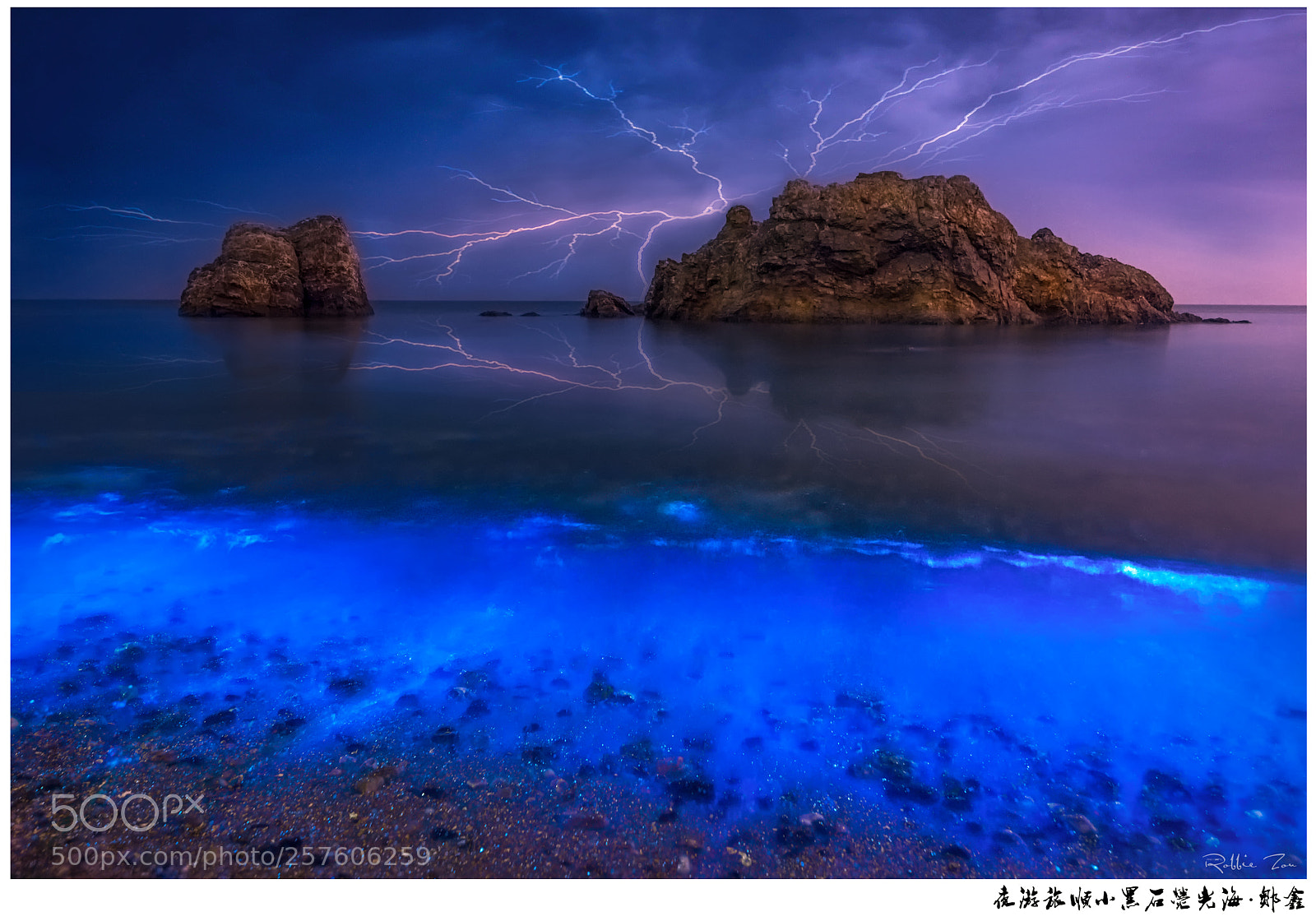 Nikon D810 sample photo. The sea of fluorescence photography