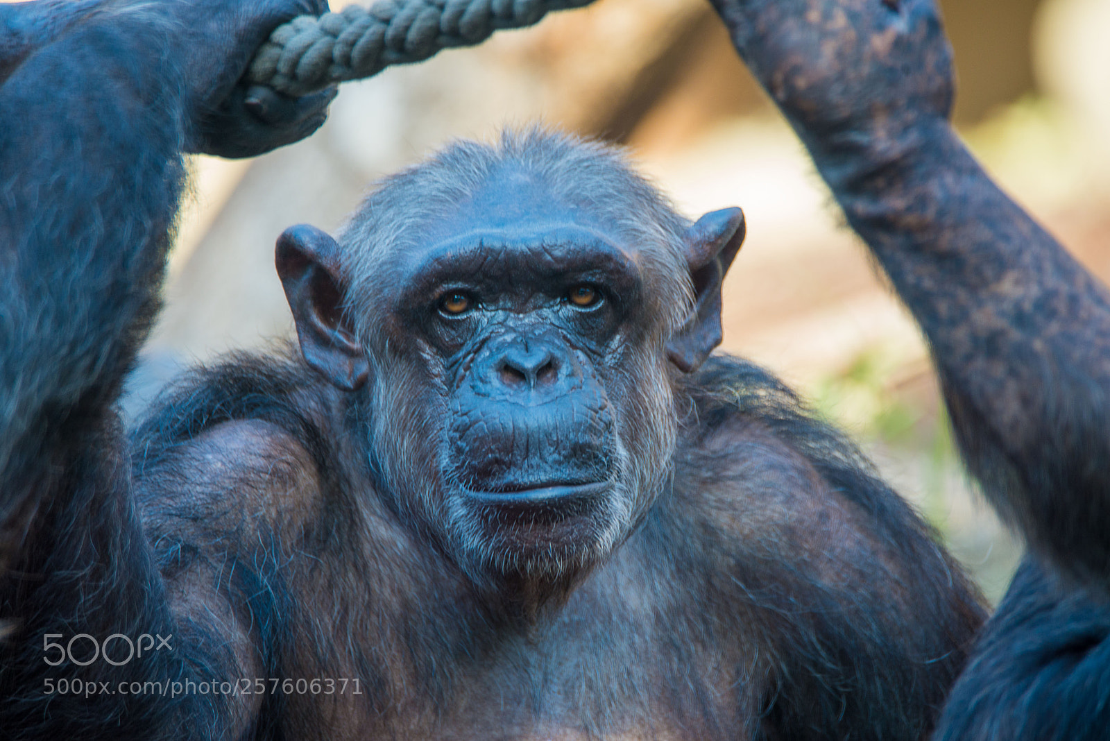 Nikon D610 sample photo. Booooooring photography