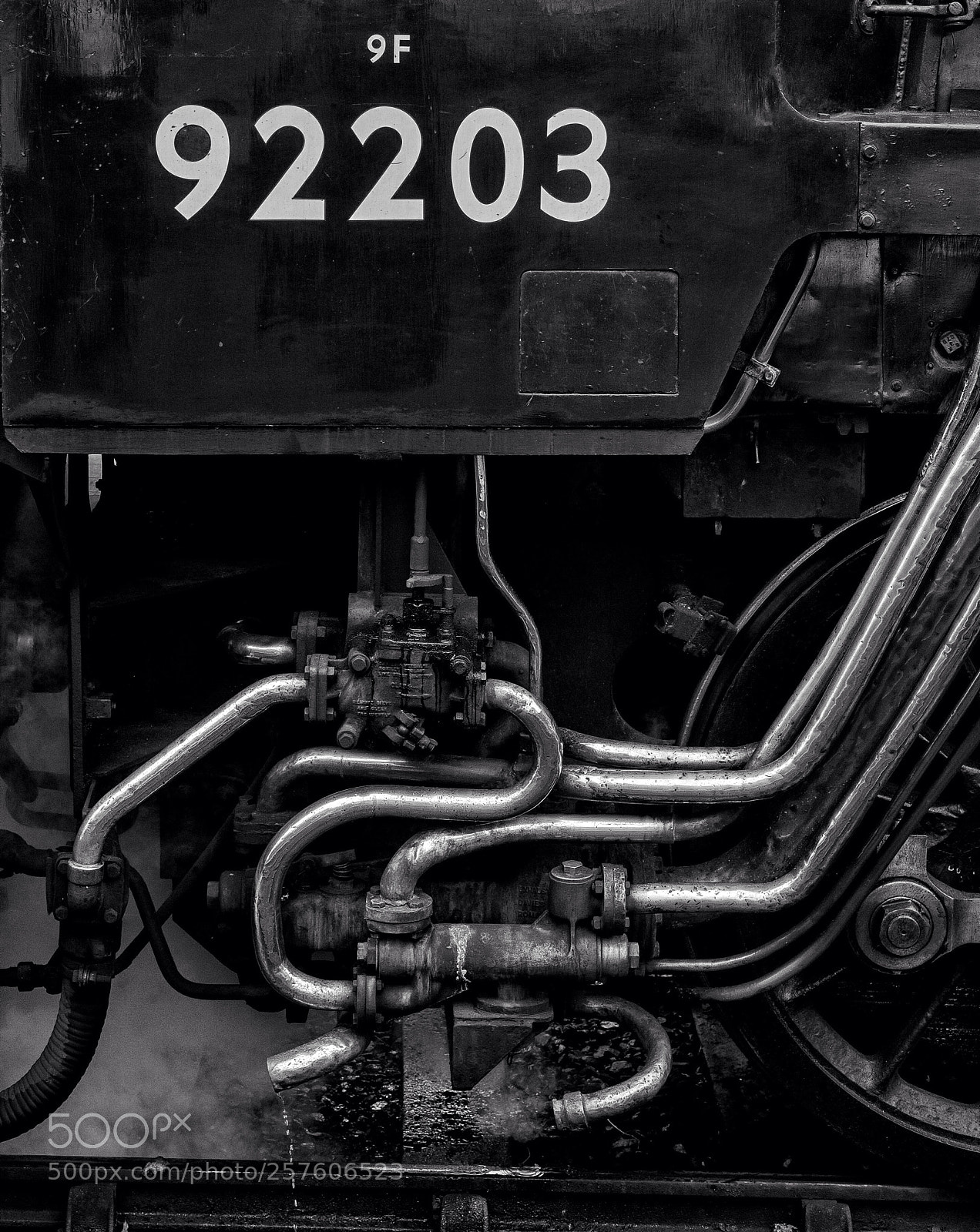 Nikon D810 sample photo. Untitled photography