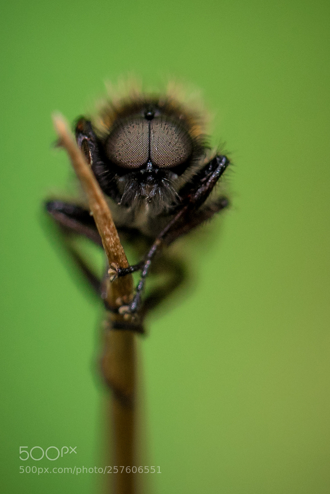 Nikon D810 sample photo. Fixed... photography