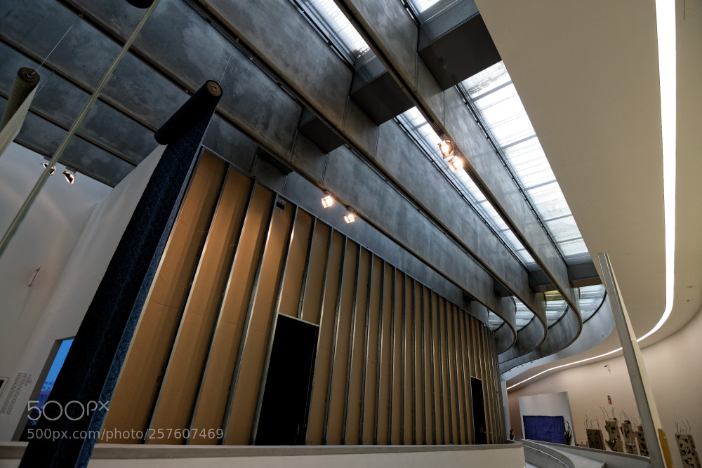 Nikon D3300 sample photo. Maxxi museum photography