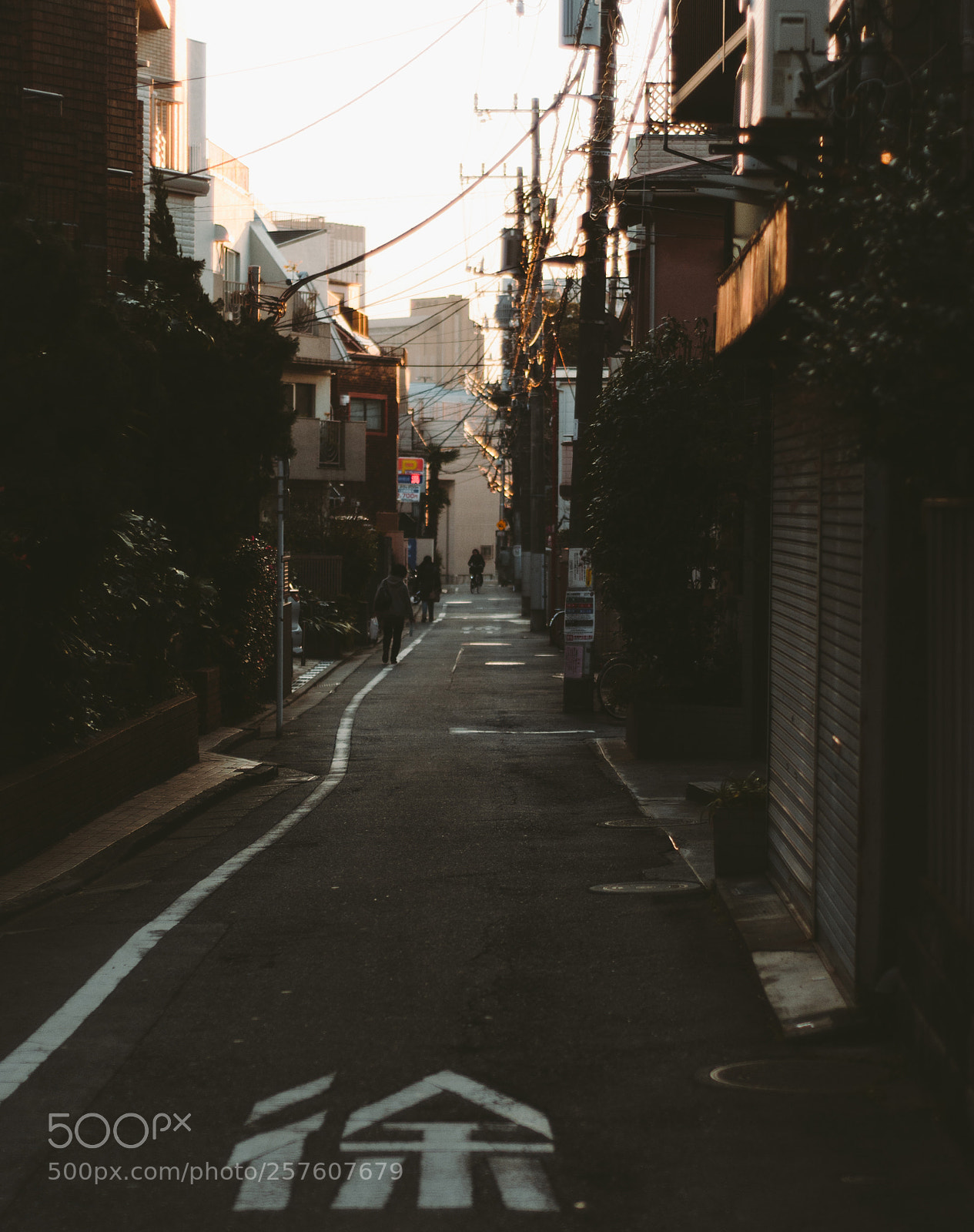 Nikon D300S sample photo. Bunkyo street photography